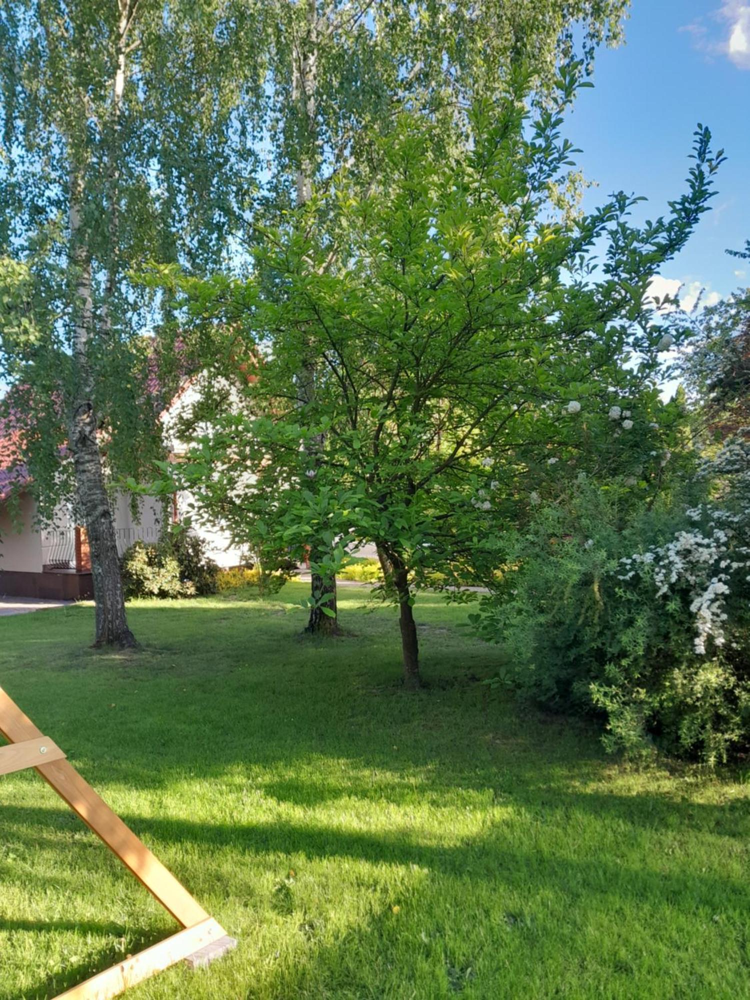 Domek Pod Brzozami Z Jacuzzi ,Grillem I Tarasem Przemyśl Εξωτερικό φωτογραφία